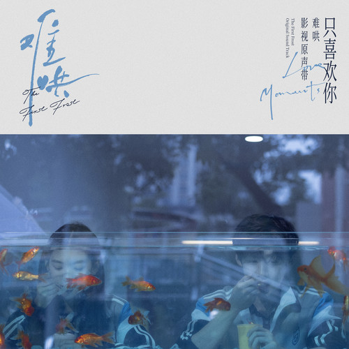 只在今夜 - 毛不易