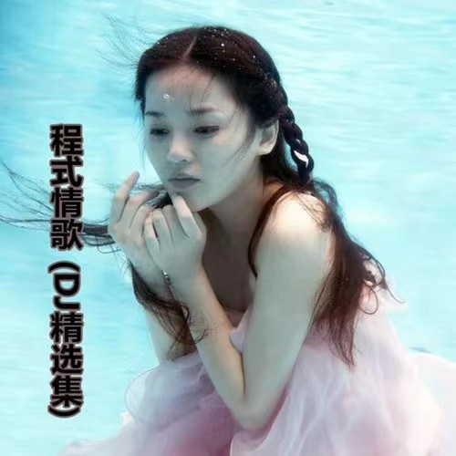两地情缘 (Dj小四川 Remix) - 程响 / 王羽泽