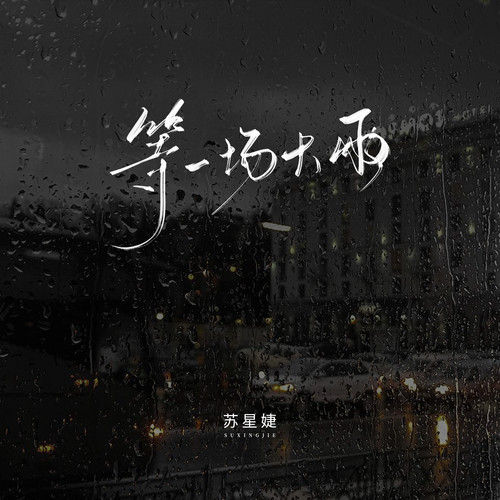 等一场大雨 (错爱版) - 苏星婕