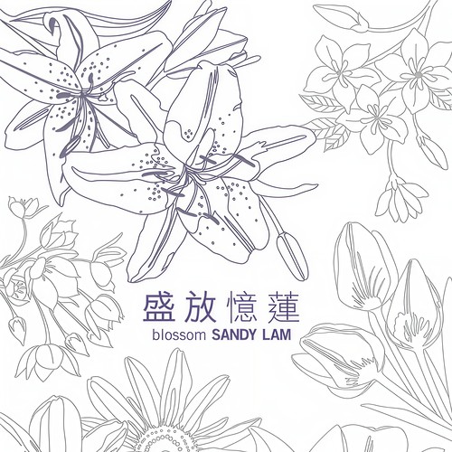 讲多错多 - 林忆莲