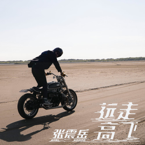 远走高飞 - 张震岳