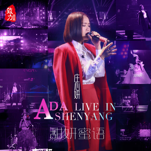 他说的谎 (Live) - 庄心妍