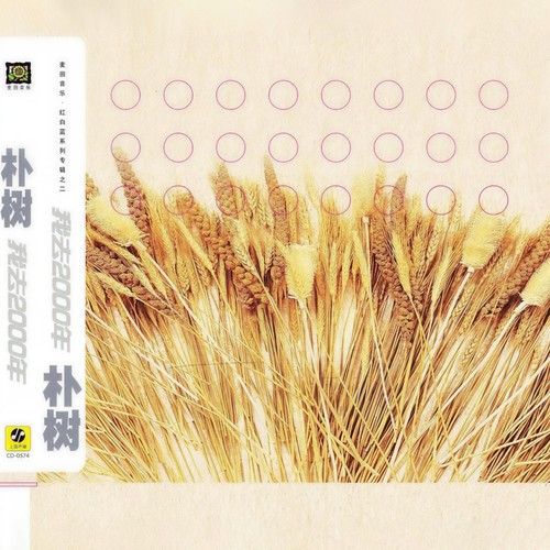 那些花儿 - 朴树