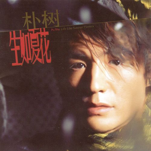 且听风吟 - 朴树