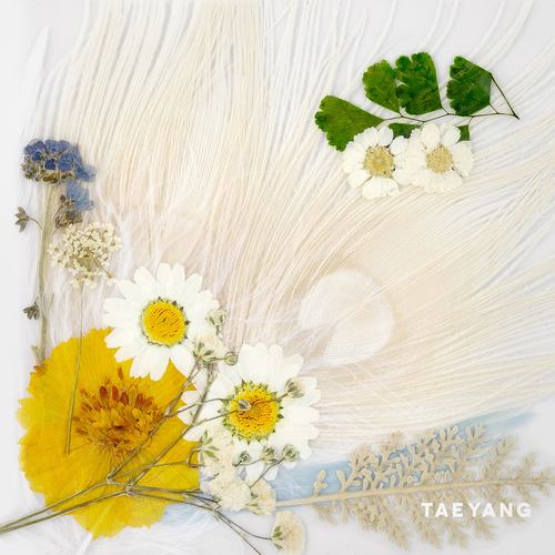 RIDE - TAEYANG (太阳)
