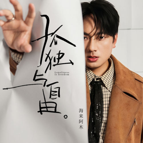 孤独与自由 (DJ铁柱版伴奏) - 海来阿木