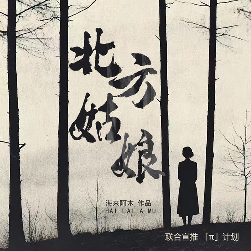 北方姑娘 (伴奏) - 海来阿木