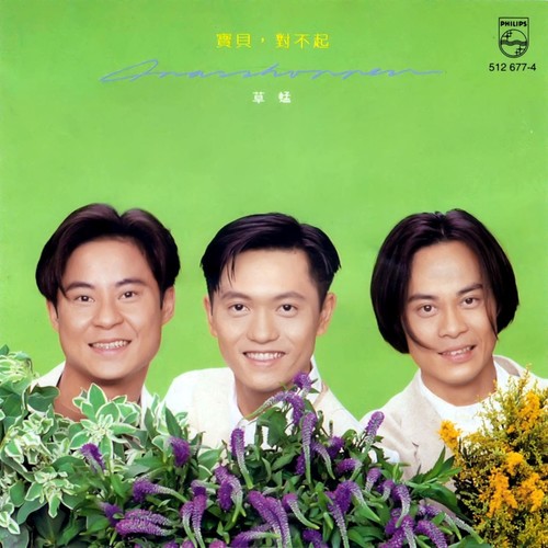 宝贝，对不起 - 草蜢