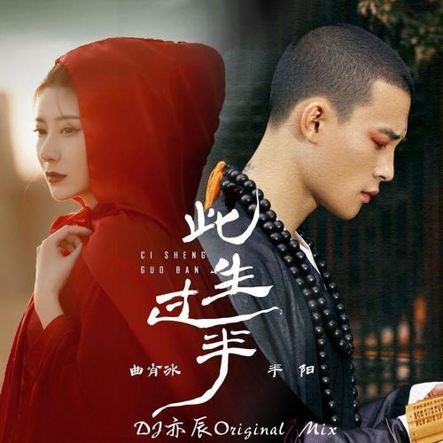 此生过半 (DJ亦辰Original Mix) - 亦辰Mix / 半阳 / 曲肖冰