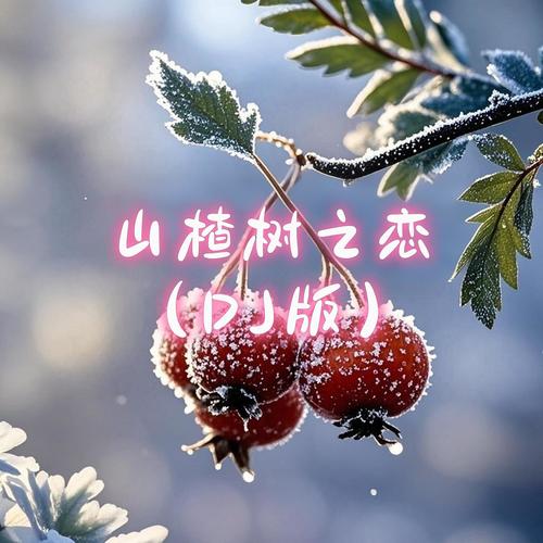 山楂树之恋 (DJ早睡版 1.1X伴奏) - 蓝心羽
