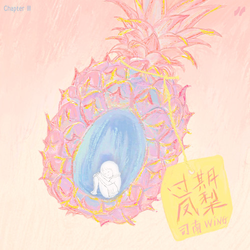 过期凤梨 (伴奏) - 司南