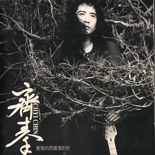 水岸 - 齐秦