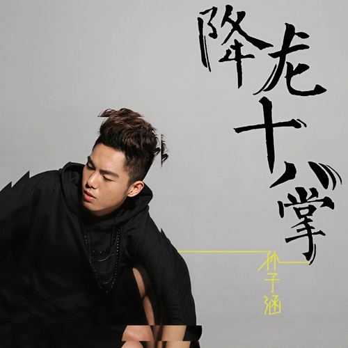 降龙十八掌 - 孙子涵