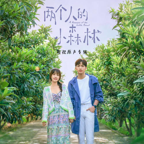 梦之森林 - 罗锟 / 石杨