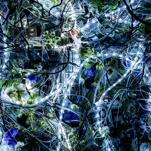 Through My Blood - Aimer (エメ)