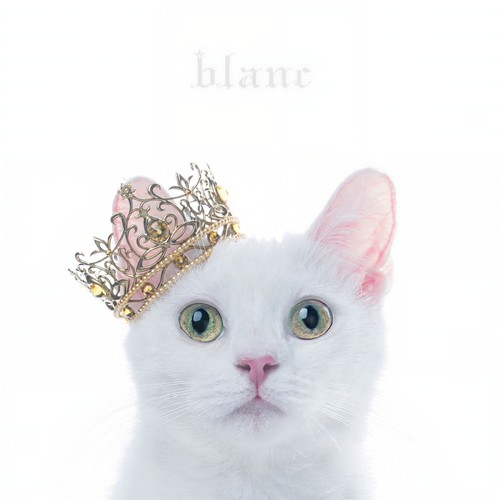 Re:pray - Aimer (エメ)