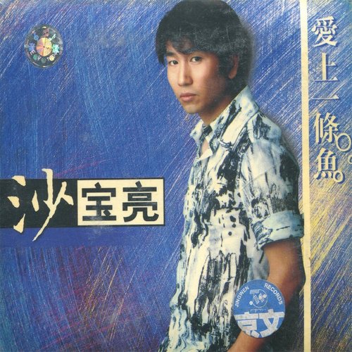 被遗忘的人 - 沙宝亮