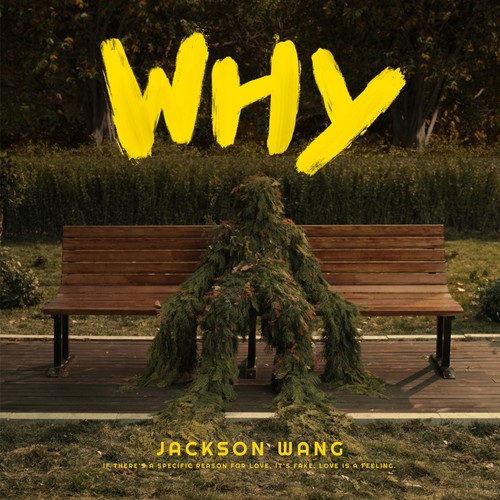 Why Why Why - 王嘉尔