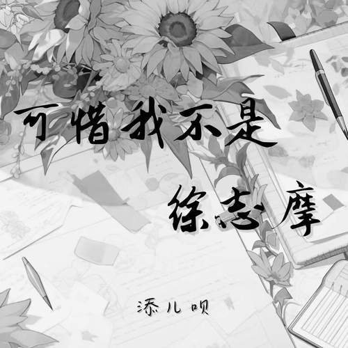 可惜我不是徐志摩 (伴奏) - 添儿呗