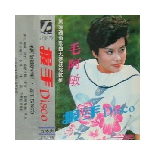 雨中徘徊 - 毛阿敏