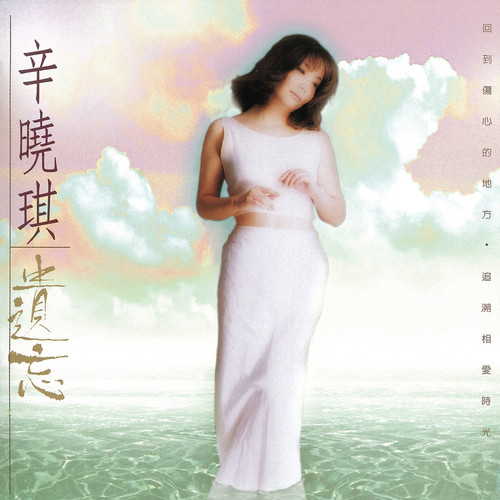 不如这样吧 - 辛晓琪