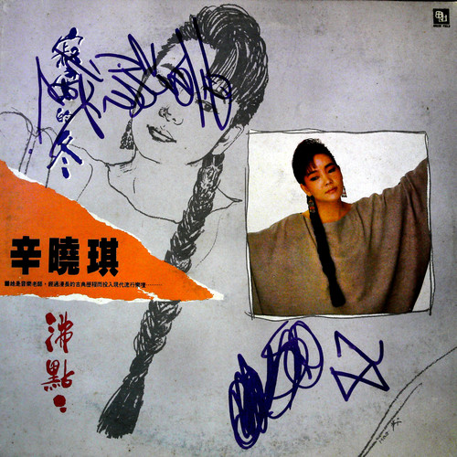 茶山情歌 (黑胶版) - 辛晓琪