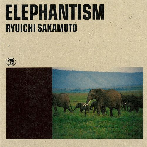 Serenity - 坂本龙一 (さかもと りゅういち)